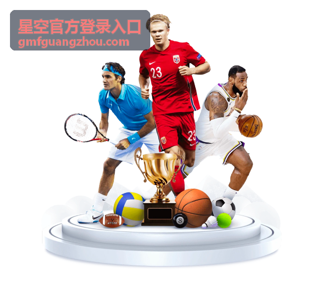 星空官方登录入口多角色账号管理场景