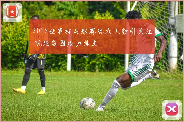 2018世界杯足球赛观众人数引关注 现场氛围成为焦点
