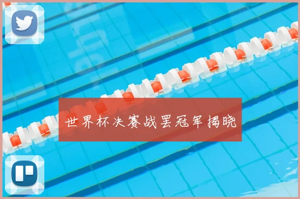 世界杯决赛战罢冠军揭晓