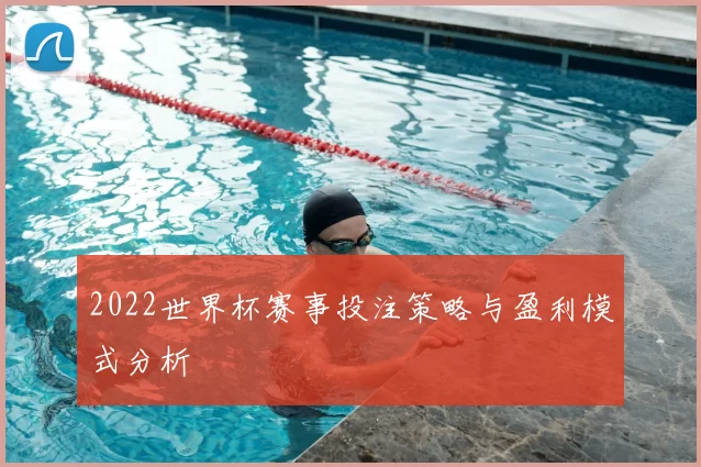 2022世界杯赛事投注策略与盈利模式分析