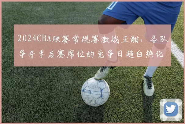 2024CBA联赛常规赛激战正酣,各队争夺季后赛席位的竞争日趋白热化