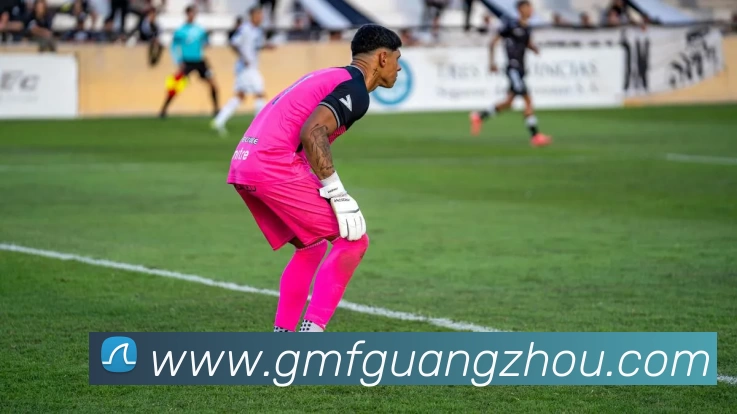 下载极速nba，开启热血篮球赛事实时观看新体验